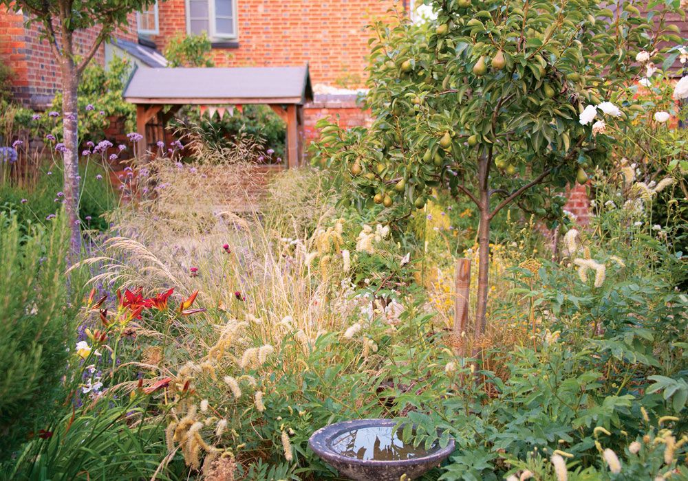 Sunlight-Catching-On-Plants