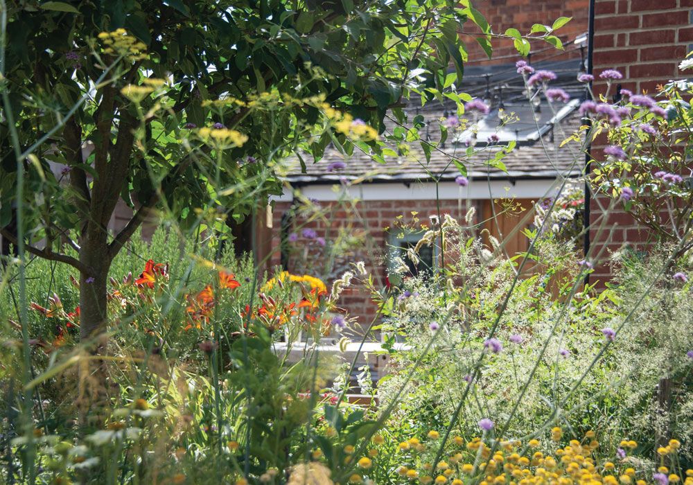 Seeing Through Something