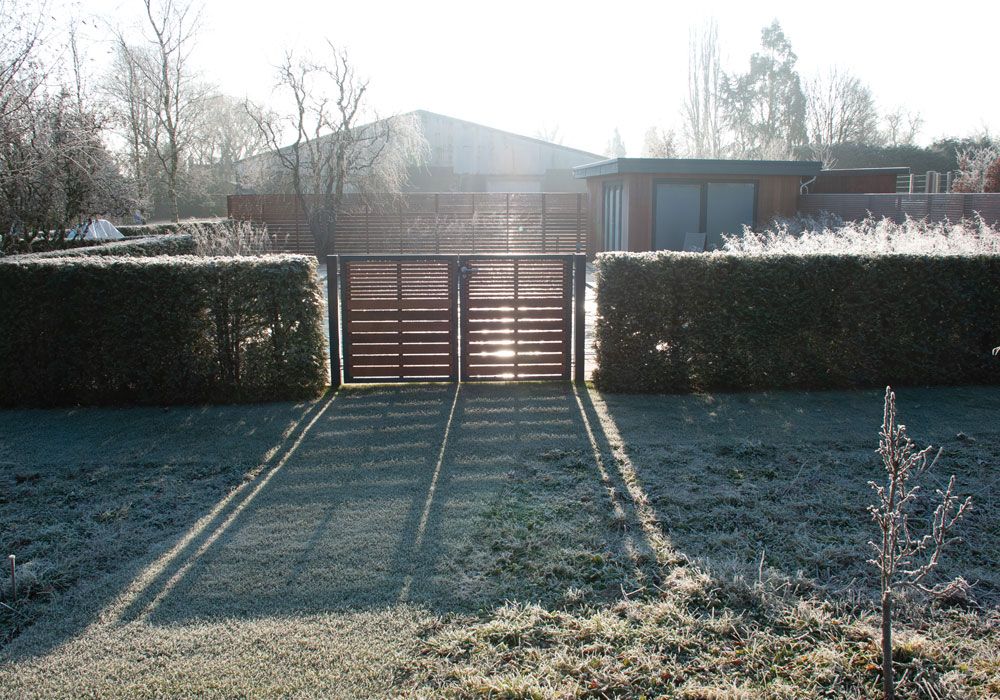 Crisp Mornings Long Shadows